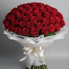 Букет 101 Красная роза Блэк Мэджик в Минеральных водах