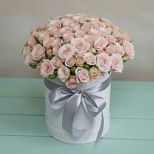 Цветочная композиция из Розы в шляпной коробке #REPLACE_PRED# Минеральных водах