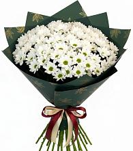 Букет цветов из:  Хризантемы в Минеральных водах