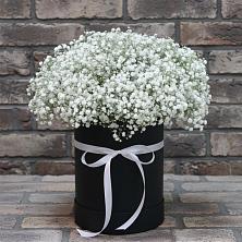 Цветочная композиция из Гипсофила в шляпной коробке в Минеральных водах
