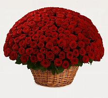 Премиум букет из: Розы в Минеральных водах